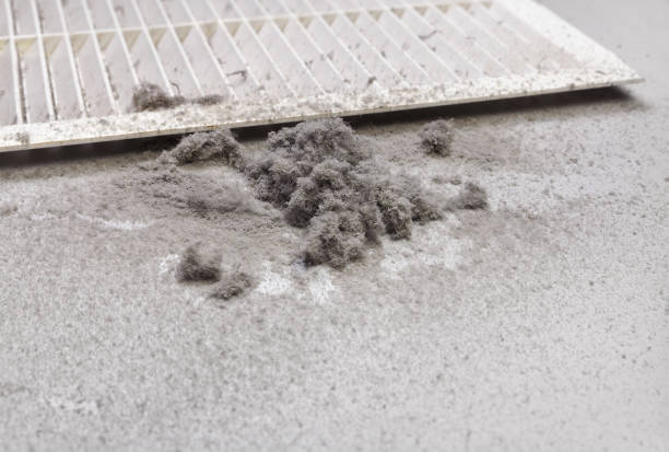 Best Air Duct Cleaning Near Me  in Marissa, IL