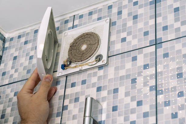 Best Professional Duct Cleaning Services  in Marissa, IL