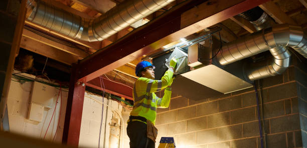 Best Air Duct Inspection  in Marissa, IL
