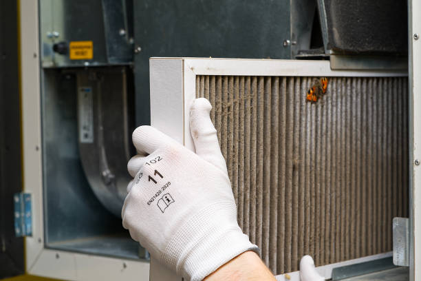 Best Ductwork Cleaning Services  in Marissa, IL