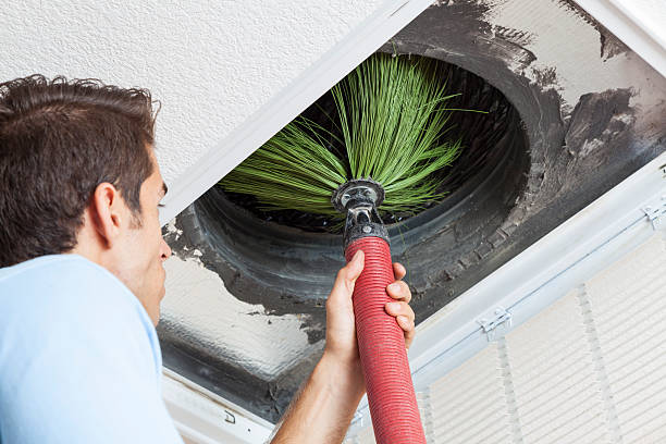 Best Air Vent Cleaning Services  in Marissa, IL